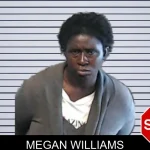 Megan Williams mugshot – DeKalb County , Georgia Megan Williams mugshot