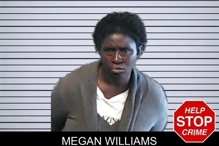 Megan Williams mugshot – Thomas County , Georgia Megan Williams