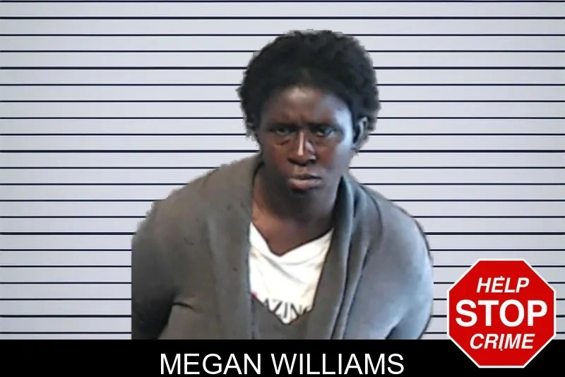 Megan Williams mugshot – DeKalb County , Georgia Megan Williams mugshot