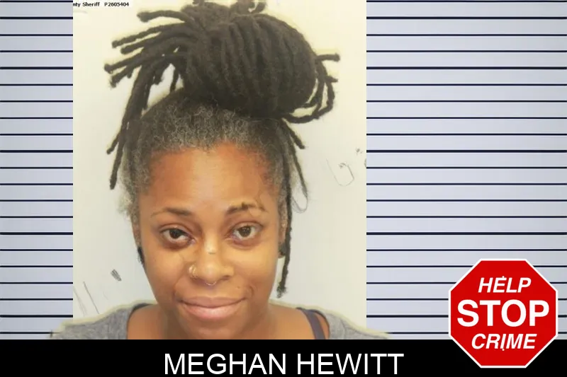 Meghan Hewitt mugshot – Chatham County , Georgia Meghan Hewitt mugshot