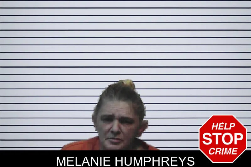 Melanie Humphreys mugshot – Meriwether County , Georgia Melanie Humphreys mugshot