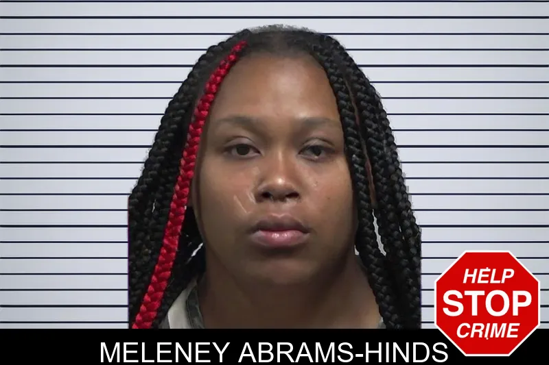 Meleney Abrams-Hinds mugshot – Tift County , Georgia Meleney Abrams-Hinds mugshot