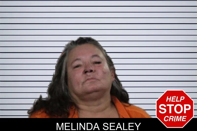 Melinda Sealey mugshot