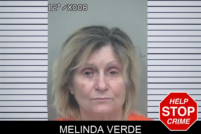 Melinda Verde mugshot – Gwinnett County , Georgia Melinda Verde mugshot