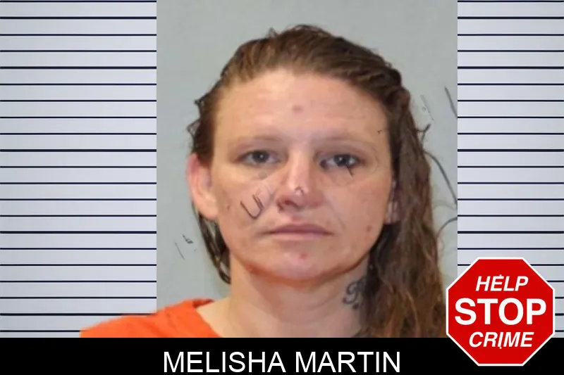 Melisha Martin mugshot – Seminole County , Georgia Melisha Martin mugshot