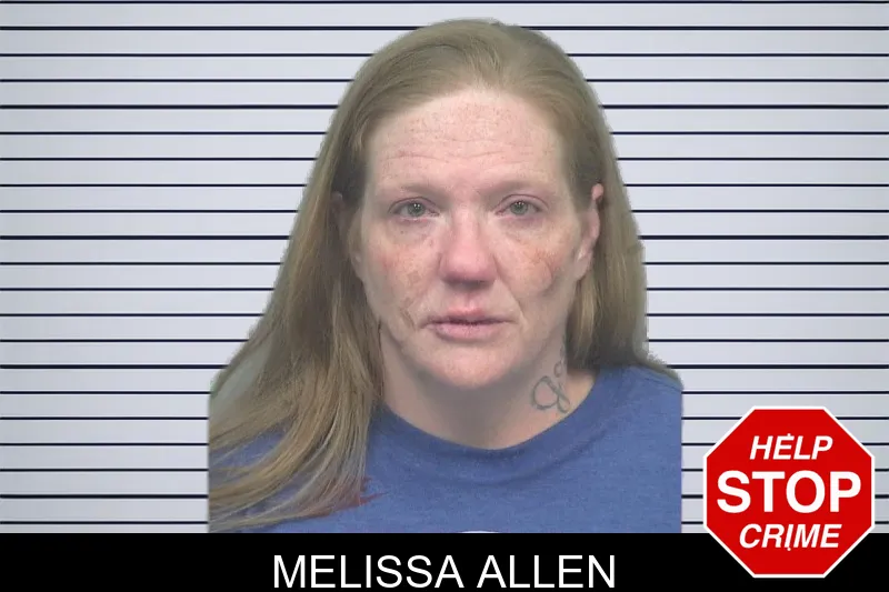 Melissa Allen mugshot – Gwinnett County , Georgia Melissa Allen mugshot