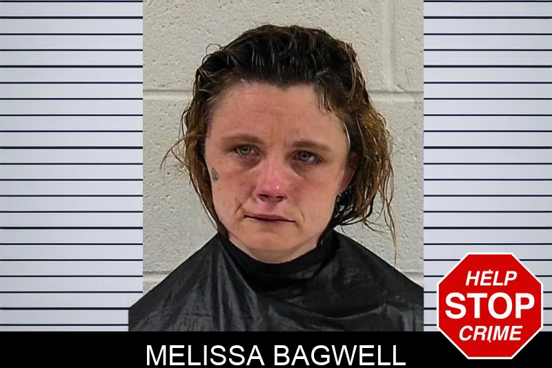 Melissa Bagwell mugshot – Elbert County , Georgia Melissa Bagwell mugshot