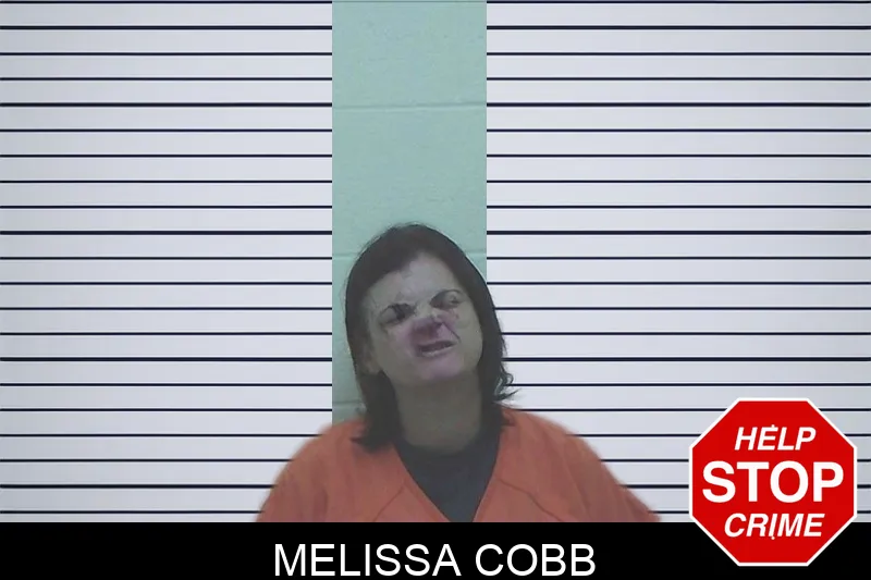 Melissa Cobb mugshot