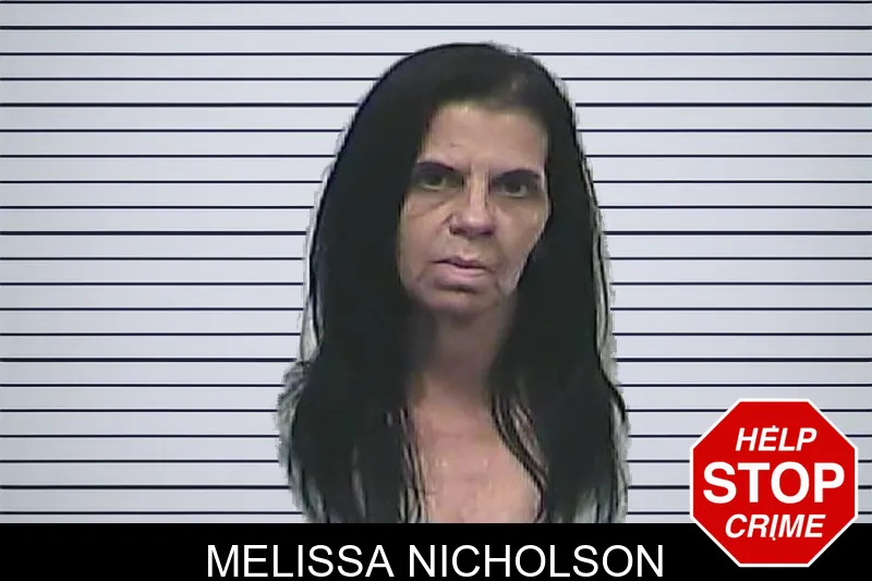 Melissa Nicholson mugshot – Dawson County , Georgia Melissa Nicholson mugshot