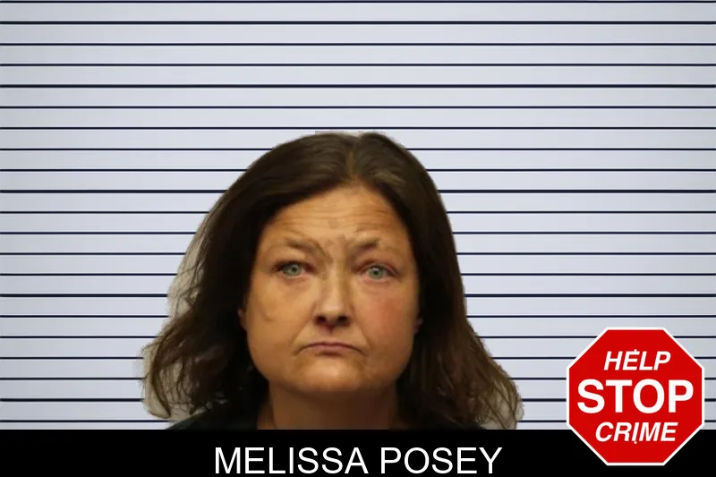 Melissa Posey mugshot – Chatham County , Georgia Melissa Posey mugshot