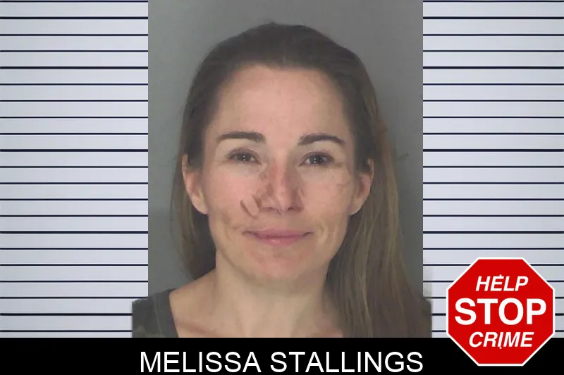 Melissa Stallings mugshot – Douglas County , Georgia Melissa Stallings mugshot