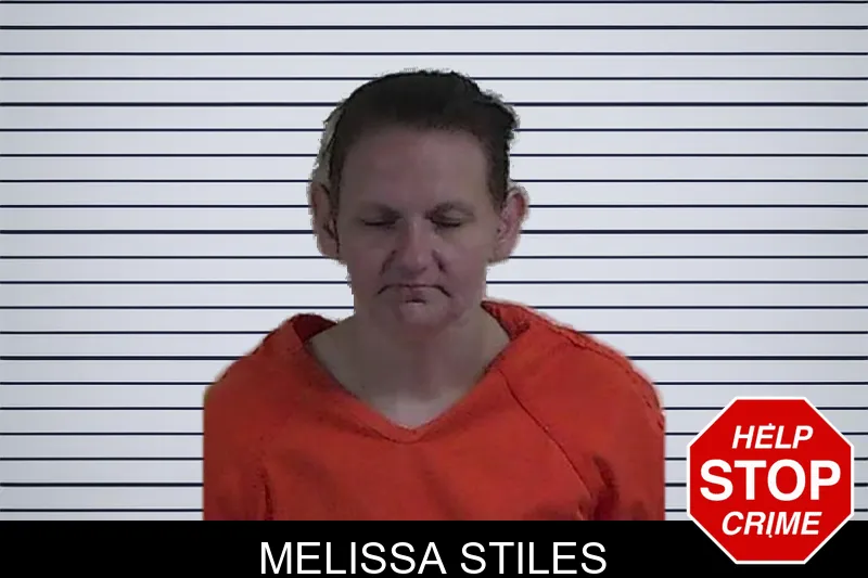 Melissa Stiles mugshot – Fannin County , Georgia Melissa Stiles mugshot