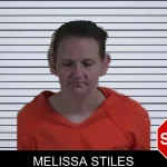 Melissa Stiles mugshot – Fannin County , Georgia Melissa Stiles mugshot