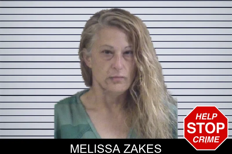 Melissa Zakes mugshot – Whitfield County , Georgia Melissa Zakes mugshot