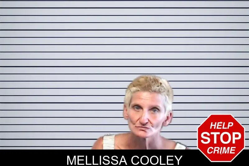 Mellissa Cooley mugshot – DeKalb County , Georgia Mellissa Cooley mugshot