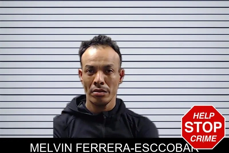 Melvin Ferrera-Esccobar mugshot