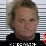 Mende Wilson mugshot