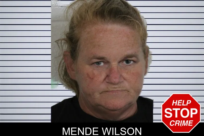 Mende Wilson mugshot