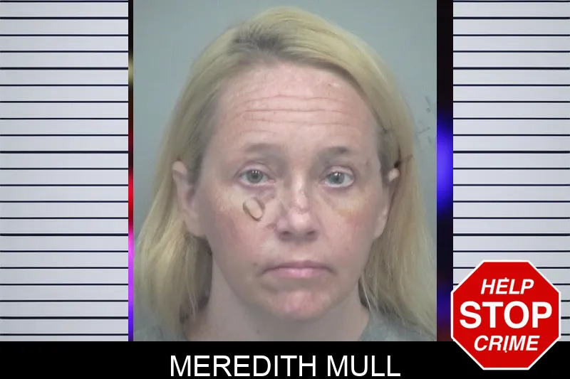 Meredith Mull mugshot – Gwinnett County , Georgia Meredith Mull mugshot