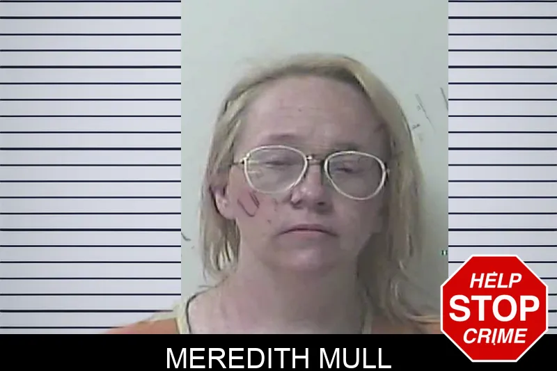 Meredith Mull mugshot