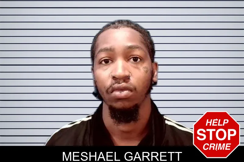 Meshael Garrett mugshot – Troup County , Georgia Meshael Garrett mugshot
