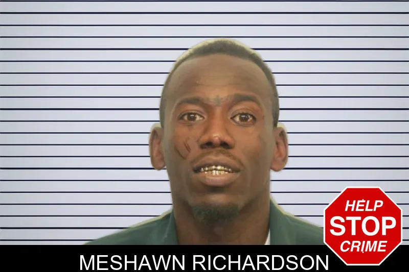 Meshawn Richardson mugshot – Chatham County , Georgia Meshawn Richardson mugshot