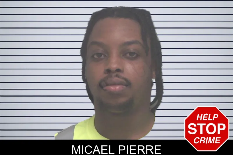 Micael Pierre mugshot