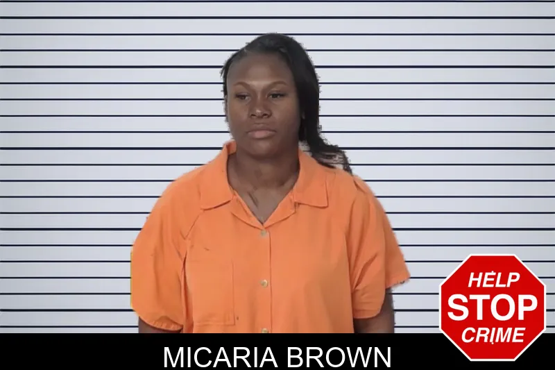 Micaria Brown mugshot
