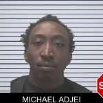 Michael Adjei mugshot – Coweta County , Georgia Michael Adjei mugshot