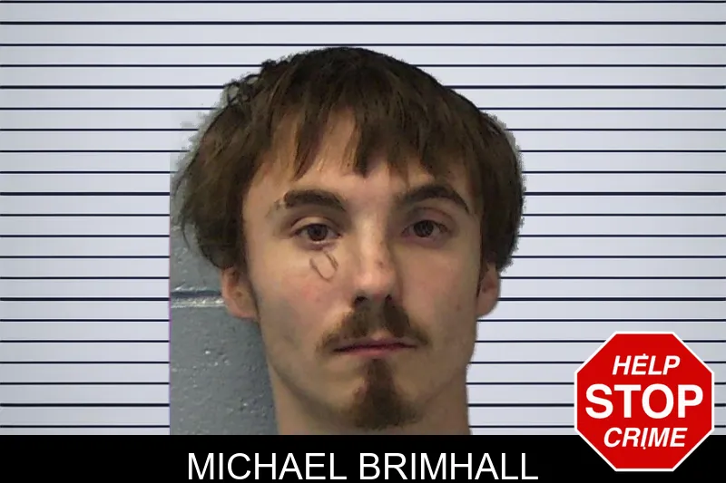 Michael Brimhall mugshot – Ware County , Georgia Michael Brimhall mugshot