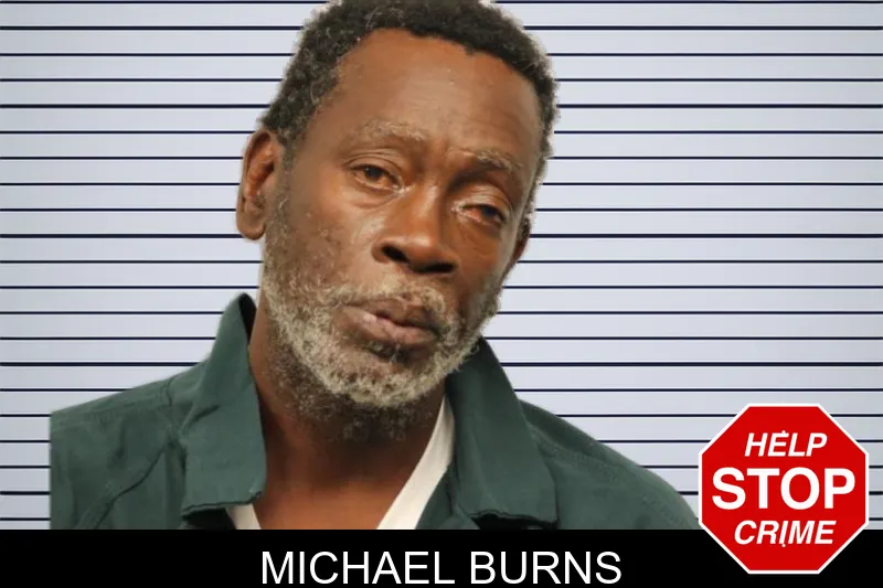 Michael Burns mugshot – Chatham County , Georgia Michael Burns mugshot