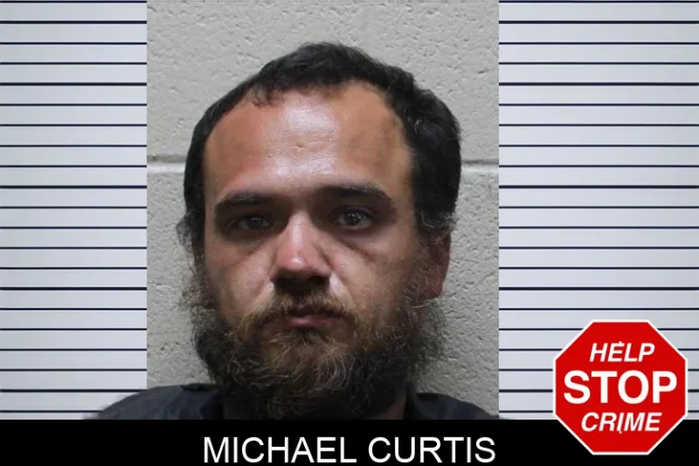 Michael Curtis
