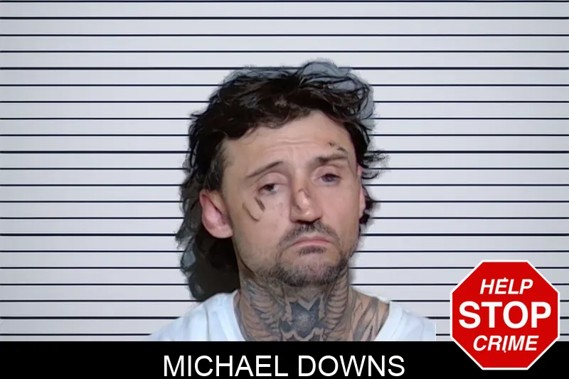 Michael Downs mugshot