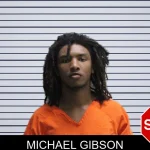 Michael Gibson mugshot