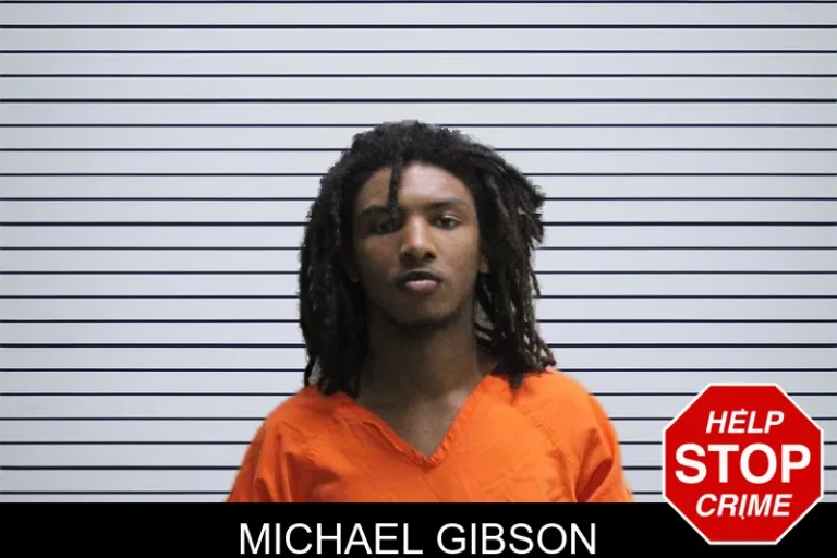 Michael Gibson