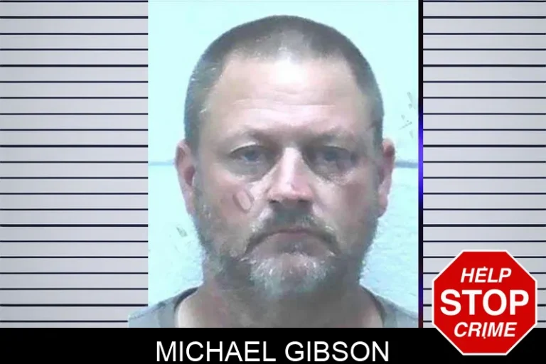 Michael Gibson