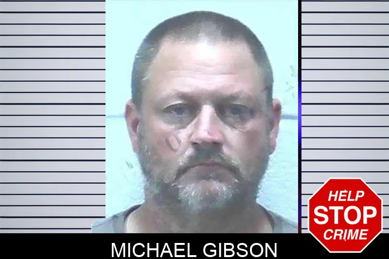Michael Gibson mugshot