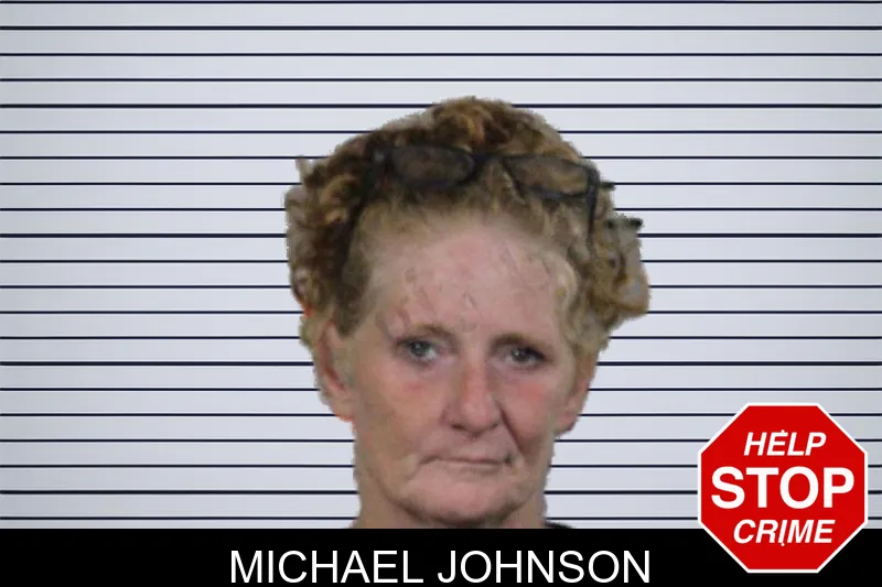 Michael Johnson mugshot – Lamar County , Georgia Michael Johnson mugshot