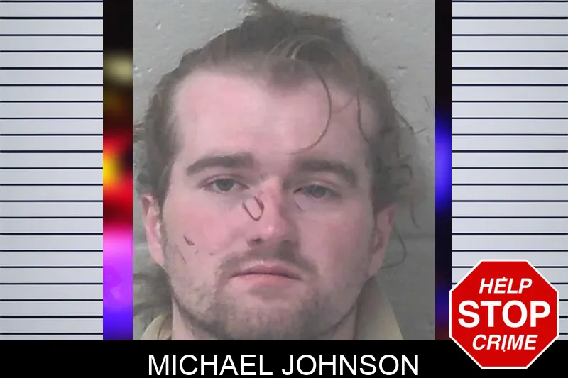 Michael Johnson mugshot