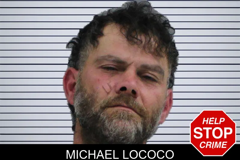 Michael Lococo mugshot