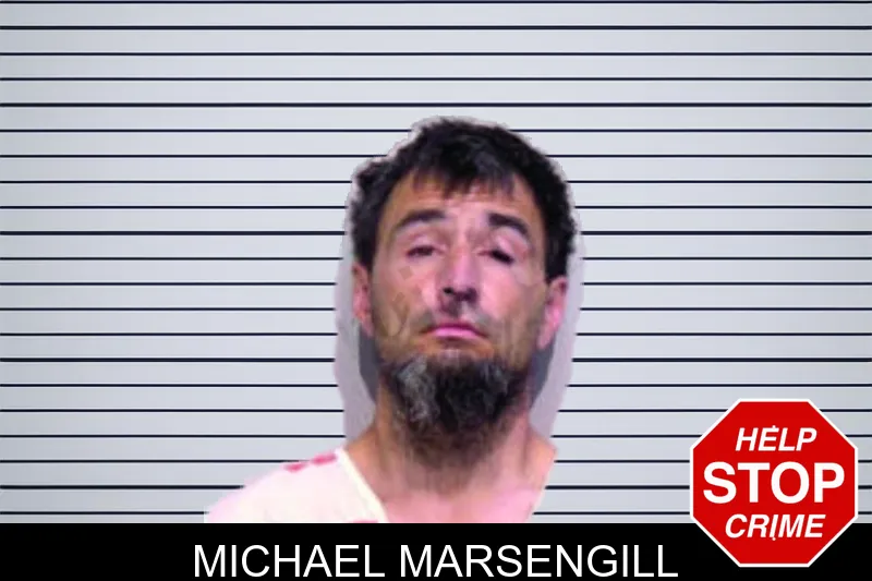 Michael Marsengill mugshot – Bartow County , Georgia Michael Marsengill mugshot