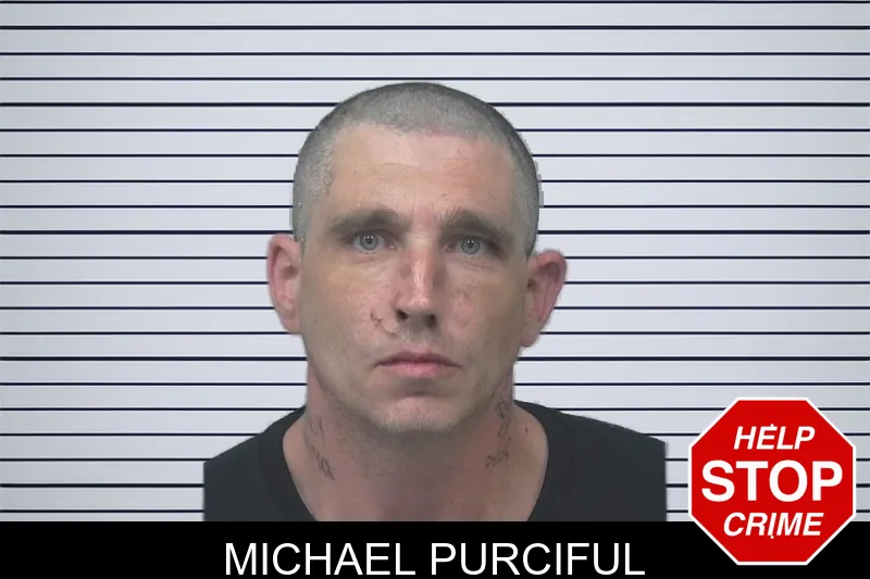 Michael Purciful mugshot