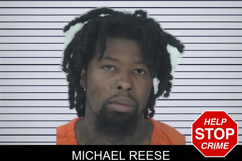 Michael Reese mugshot – Fayette County , Georgia Michael Reese mugshot