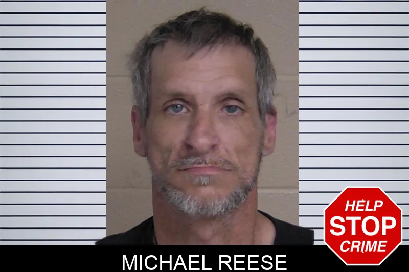 Michael Reese mugshot