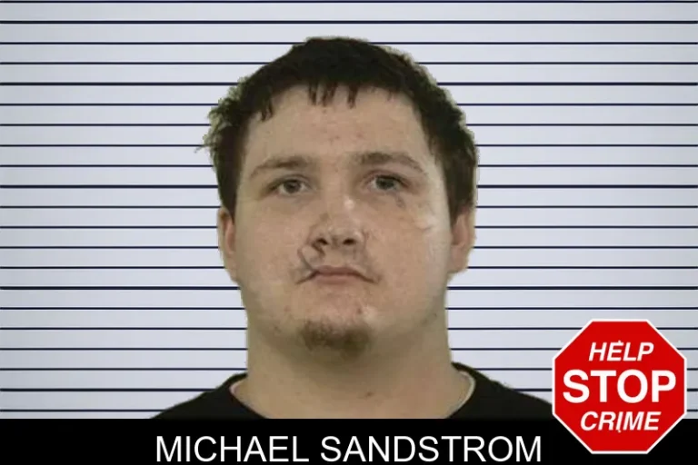 Michael Sandstrom mugshot – Liberty County , Georgia Michael Sandstrom