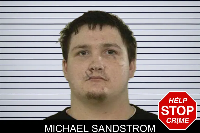 Michael Sandstrom mugshot