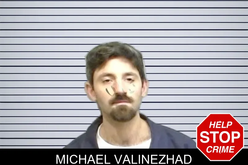 Michael Valinezhad mugshot