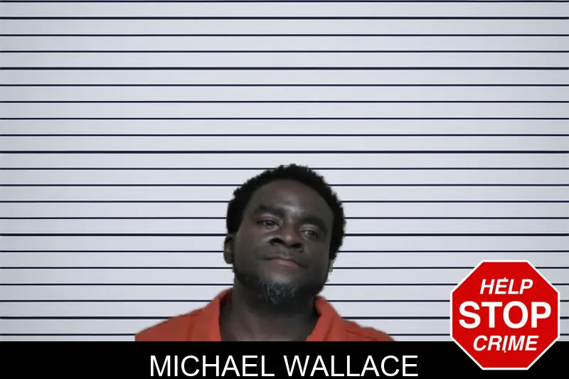 Michael Wallace mugshot