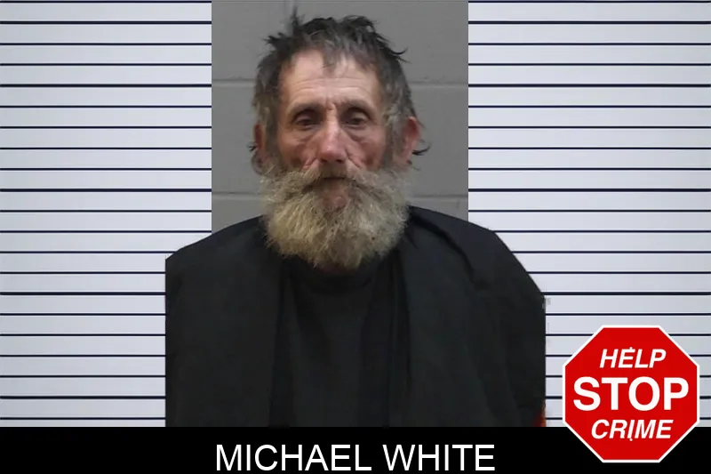 Michael White mugshot – Madison County , Georgia Michael White mugshot