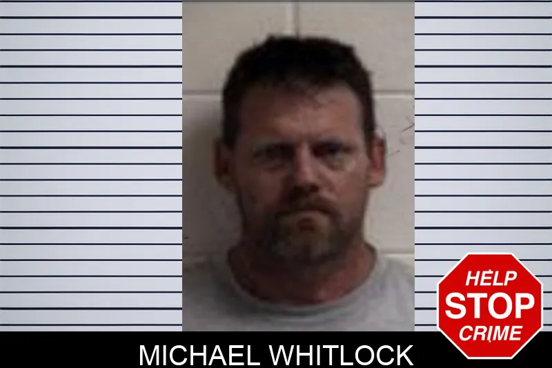 Michael Whitlock mugshot – Henry County , Georgia Michael Whitlock mugshot